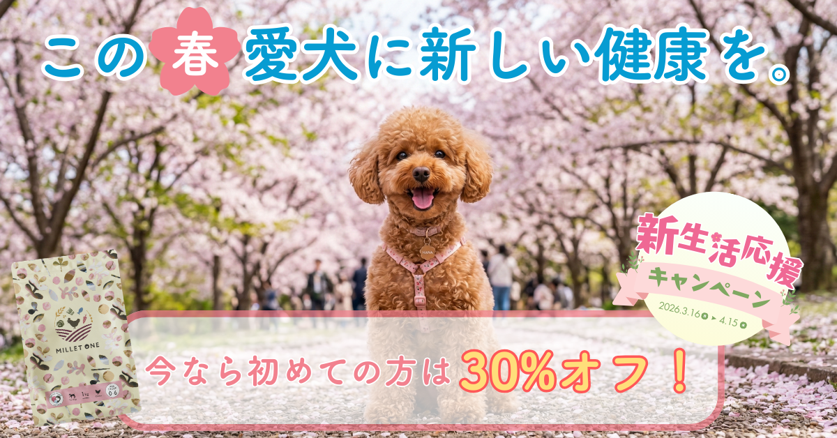 初回全品30%OFF