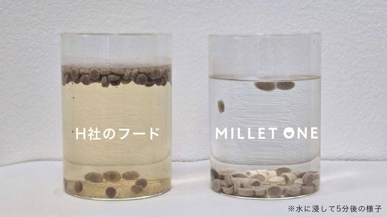 オイルコーティング水に浸したドッグフード比較