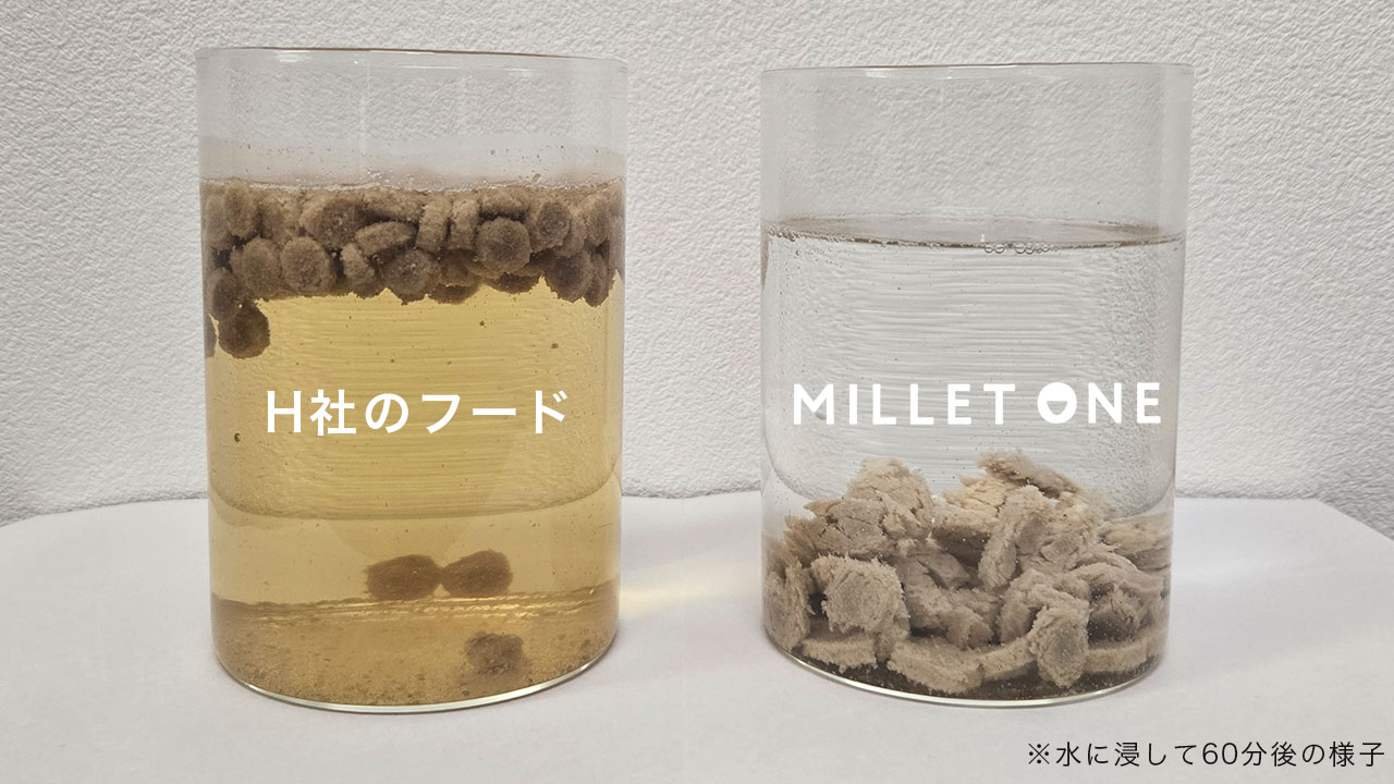 オイルコーティング水に浸したドッグフード比較 60分後