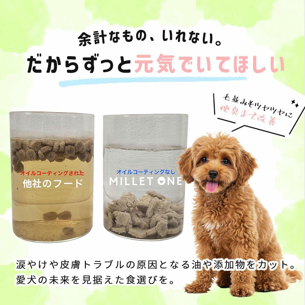 ノンオイル比較