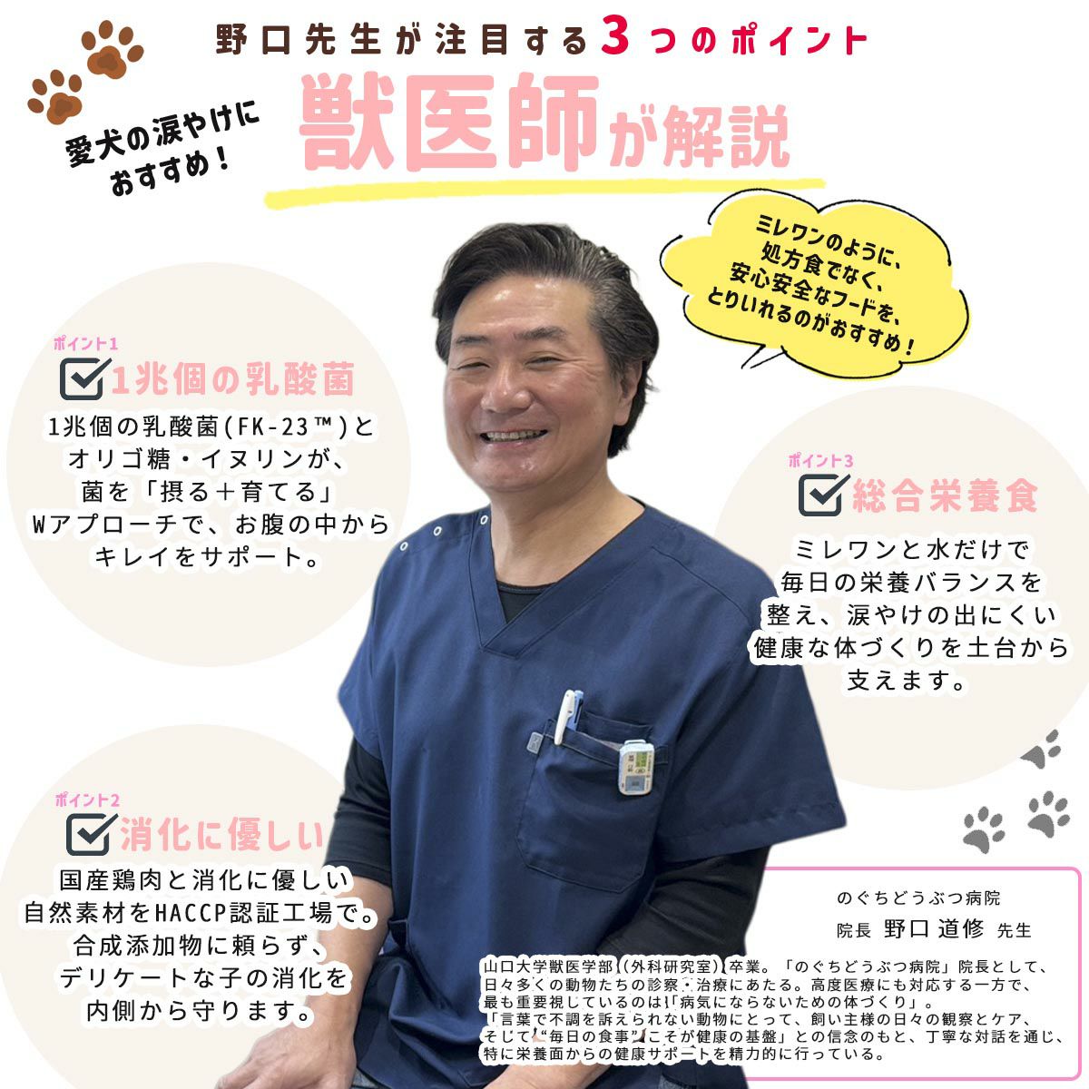 のぐち動物病院 獣医師 推奨 ドッグフード